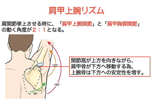 五十肩写真